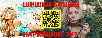 МДПВ Славгород