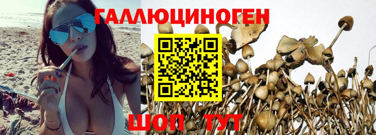 Псилоцибиновые грибы мухоморы  купить закладку  Омск  Вход с VPN 