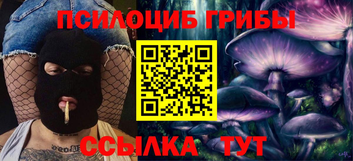 Псилоцибиновые грибы мухоморы Омск